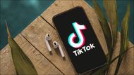 TìkTok Music will shut services starting November 28, 2024 (Image via Ariapsa/Pixabay)